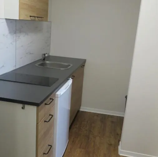 Roth's Monteurs- Und Ferienapartments Apartman